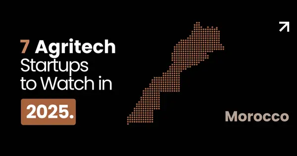 7 Moroccan Agritech Startups to Watch in 2025