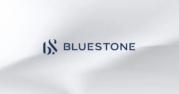 Accel and 360 ONE Sell ₹513 Cr in BlueStone Shares