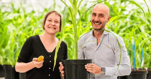 Agritech Startup Rainbow Crops Secures €9.7 Million for AI-Driven Crop Improvement