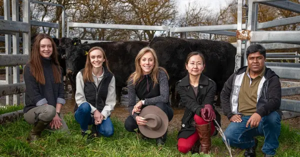 Agtech Startup Agscent Raises $5 Million for Cattle Breath Analysis Tech