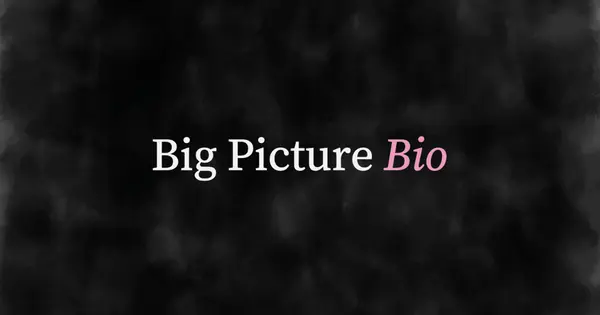 Big Picture Bio Emerges From Stealth With €2.55 Million