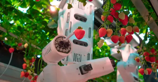 Dogtooth Technologies Secures Over £14M for AI Fruit-Harvesting Robots