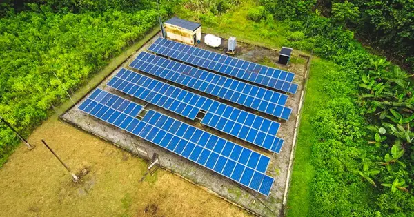 IFC Considers $23 Million Follow-On Investment in Africa Go Green Fund