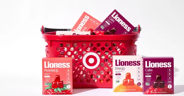 JPalmer Collective Provides $1 Million Asset-Based Credit Line to Lioness
