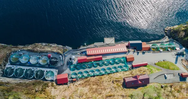 Nernst Electric Raises $2M Seed Round to Improve Oxygen Supply for Fish Farms