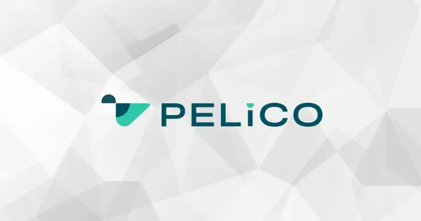 Pelico Secures Strategic Investment from AE Ventures to Expand in North America