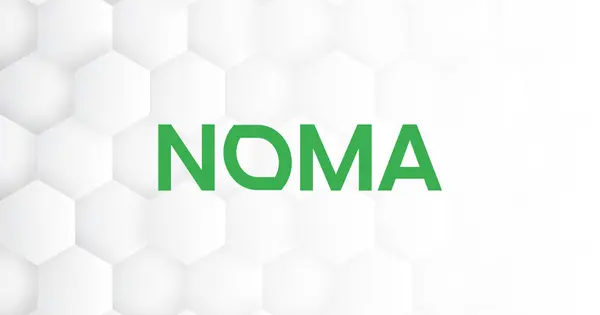 Sahel Capital Backs Noma With $650,000 Agribusiness Loan