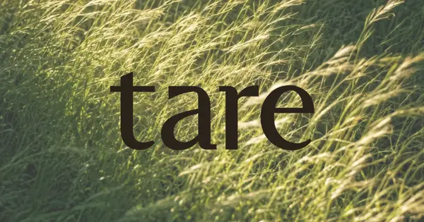 Tare Raises $13.25 Million in Seed Funding to Unify Credit Asset Infrastructure