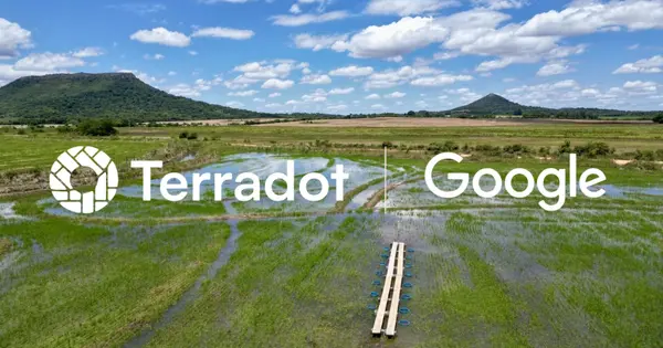 Terradot and Google Launch World's Largest Enhanced Rock Weathering Project